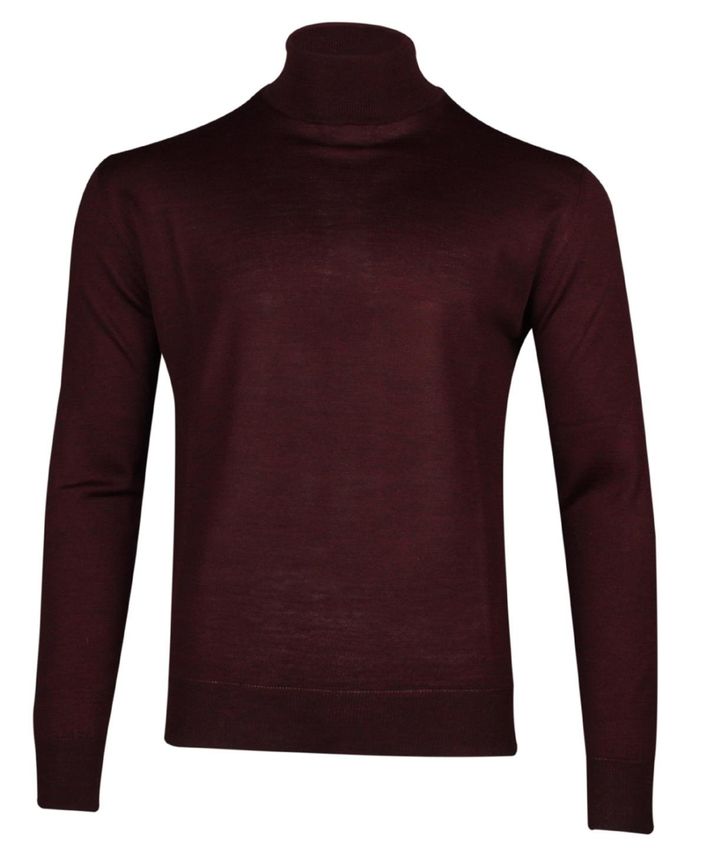 Bbw Basic Turtle Neck1903