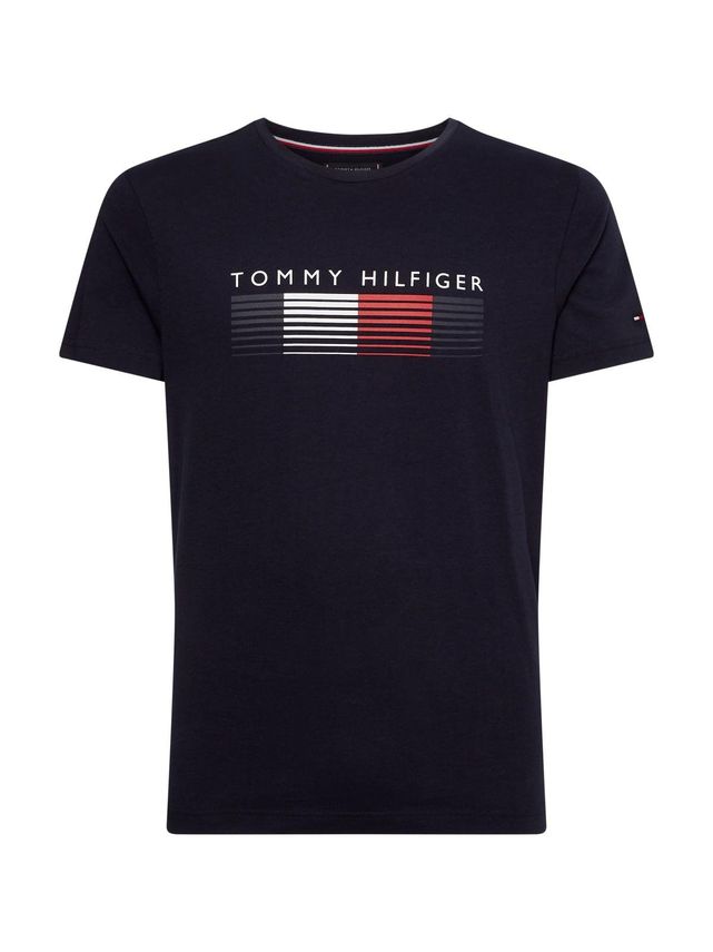 Fade Graphic Corp T-shirt fra Tommy Hilfiger - Tilbud!