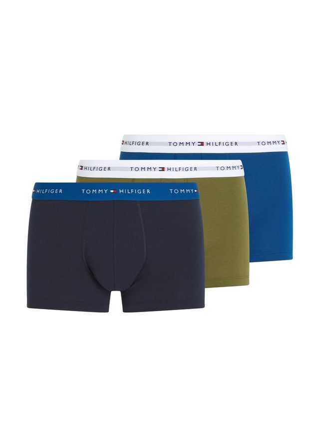 3p Wb Trunk