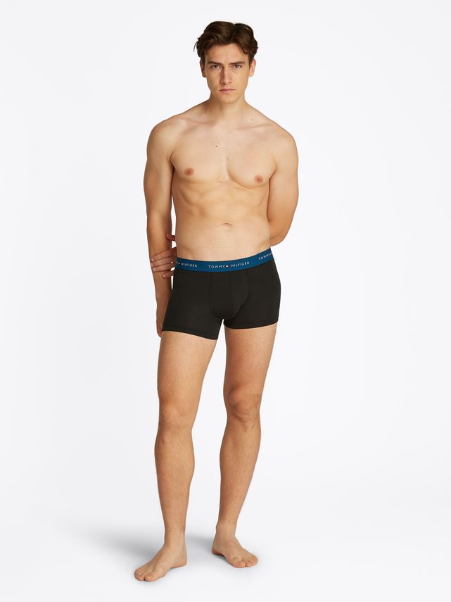 3p Wb Trunk