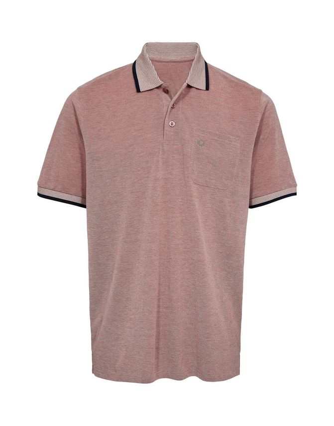 Polo 2-tone Reg  Fit