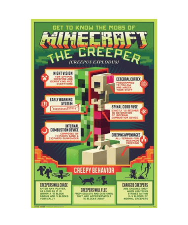 Minecraft Plakat Med Creeper Anatomi - 61 X 91cm