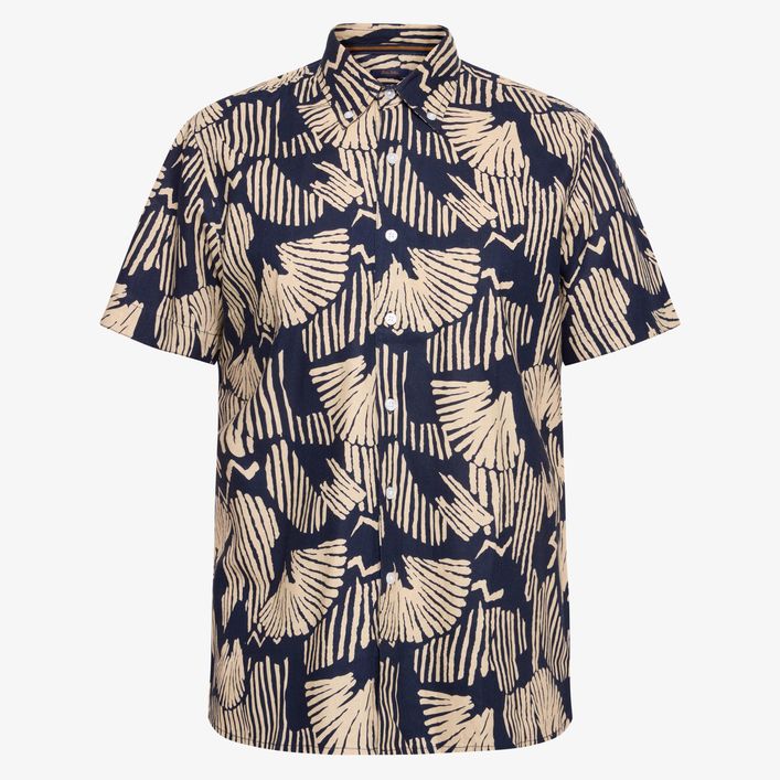 Pellesi Lc Print