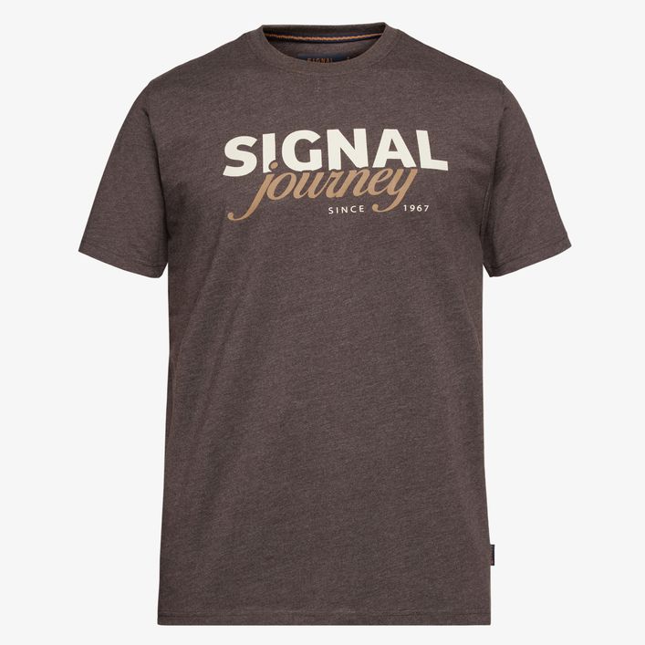 Dizzysi Logo Tee