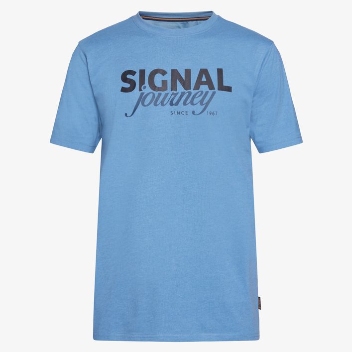 Dizzysi Logo Tee