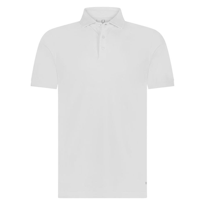 Arto Polo
