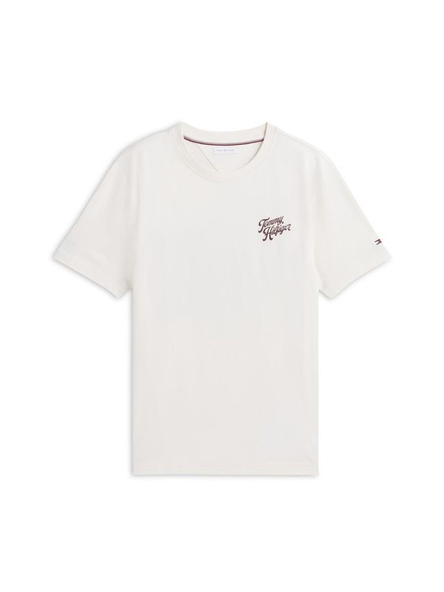 Ic Graphic Back Print Tee
