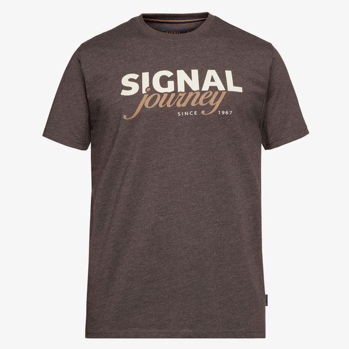 Dizzysi Logo Tee
