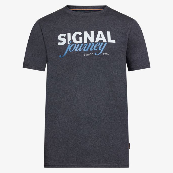 Dizzysi Logo Tee