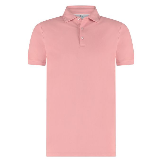 Arto Polo